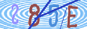 この文字を入力してください
