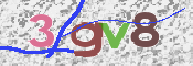 この文字を入力してください