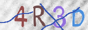 この文字を入力してください