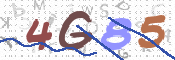 この文字を入力してください
