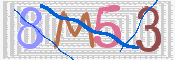 この文字を入力してください