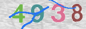 この文字を入力してください