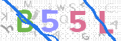この文字を入力してください