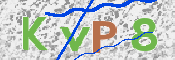 この文字を入力してください
