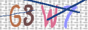 この文字を入力してください