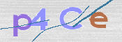 この文字を入力してください