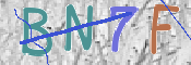 この文字を入力してください