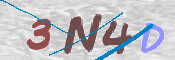 この文字を入力してください