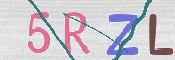 この文字を入力してください
