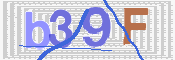 この文字を入力してください