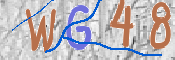 この文字を入力してください