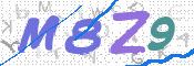 この文字を入力してください
