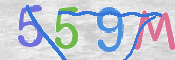 この文字を入力してください