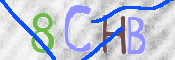 この文字を入力してください
