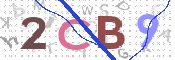 この文字を入力してください
