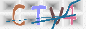 この文字を入力してください