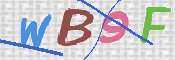 この文字を入力してください