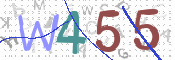 この文字を入力してください