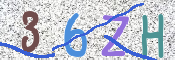 この文字を入力してください