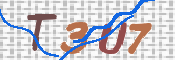 この文字を入力してください