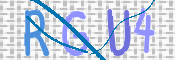 この文字を入力してください