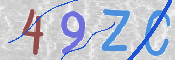 この文字を入力してください