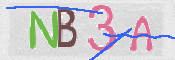 この文字を入力してください