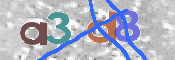 この文字を入力してください