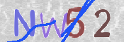 この文字を入力してください