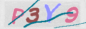 この文字を入力してください