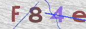 この文字を入力してください
