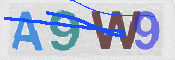 この文字を入力してください