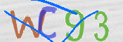この文字を入力してください
