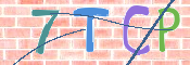 この文字を入力してください