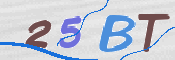 この文字を入力してください
