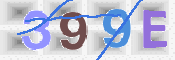 この文字を入力してください