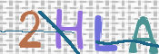 この文字を入力してください