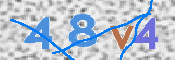 この文字を入力してください