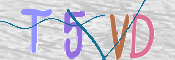 この文字を入力してください