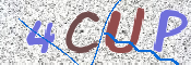 この文字を入力してください