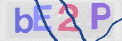 この文字を入力してください