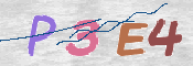この文字を入力してください