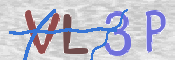 この文字を入力してください