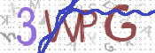 この文字を入力してください