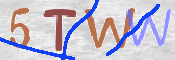 この文字を入力してください