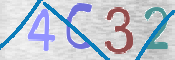 この文字を入力してください