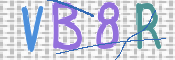 この文字を入力してください