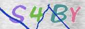 この文字を入力してください