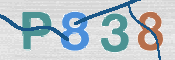 この文字を入力してください