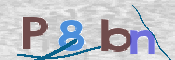 この文字を入力してください
